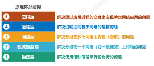 計算機網(wǎng)絡(luò)第一章概述小結(jié)與計算機系統(tǒng)服務(wù)